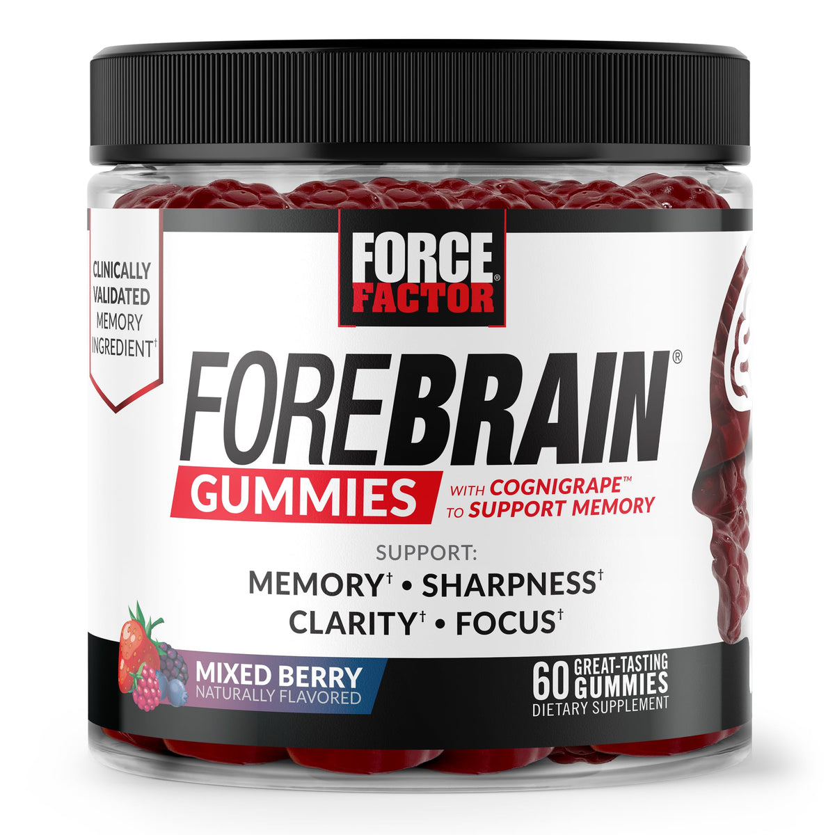 Force Factor Forebrain Gummies Nootropic Brain Support Supplement for Memory and Focus Brain Vitamin with COGNIGRAPE and Huperzine A Focus Gummies to Support Recall and Sharpness 60 Gummies