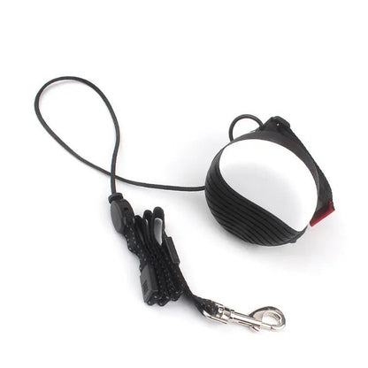 Hands-Free Retractable Leash for Small to Medium Dogs