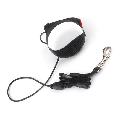 Hands-Free Retractable Dog Leash with Secure Hook